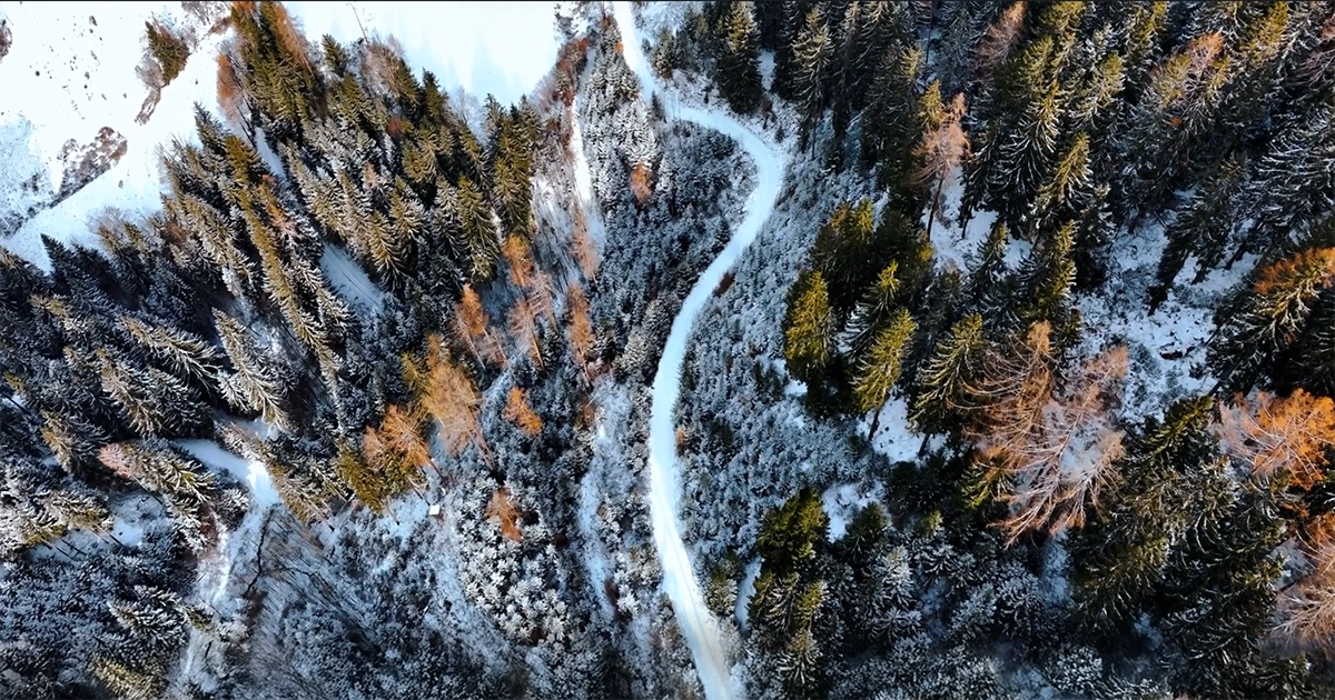 Elite Estate Photos Image - Drone